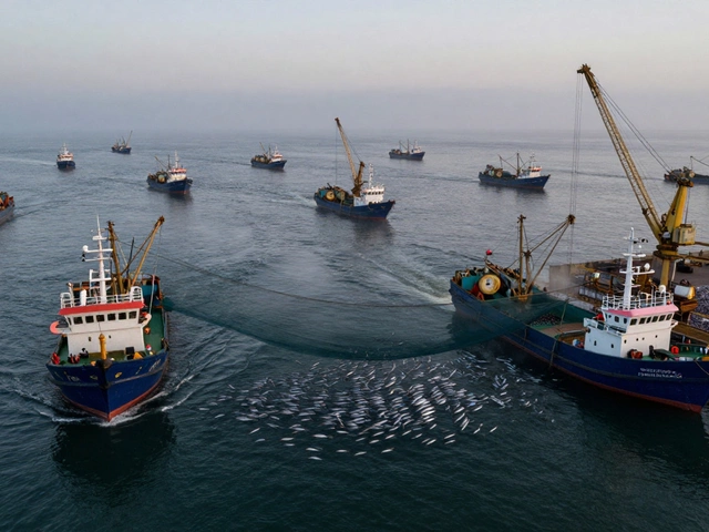 Какую рыбу ловят больше всего в мире - статистика и причины