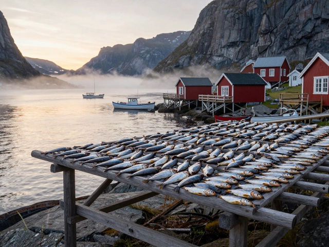 Какая страна славится рыбой? История и традиции мирового рыболовства